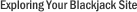 Exploring Your Blackjack Site